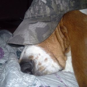 Meet your Posher, Cindy